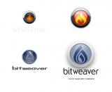 bitweaver VS newsfire